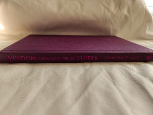 Wisdom from your Spirit guides: Mediumship, Spirit guides and afterlife communication.